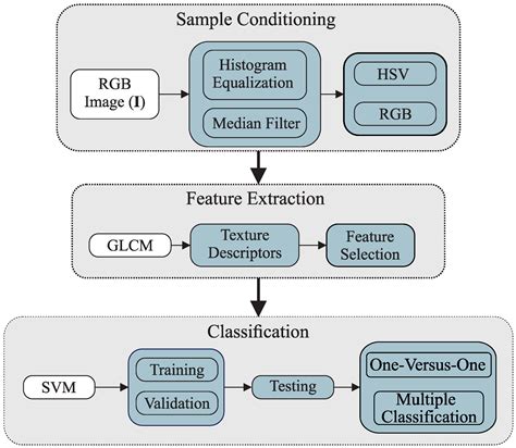Optimal Image Characterization for In-Bed Posture Classification by ...
