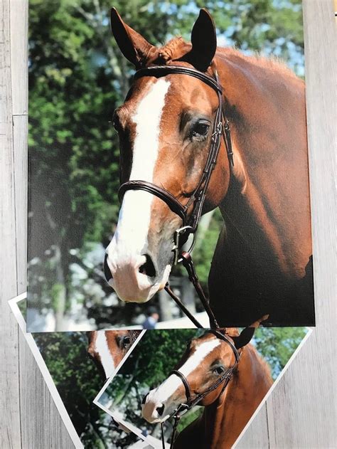 Image result for Direct Color Systems Problems