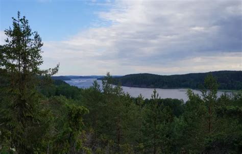 Download wallpaper forest, the sky, nature, Karelia, section nature in ...