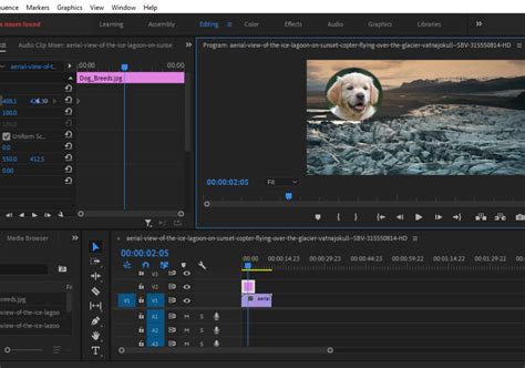 Image result for MAGIX Motion Graphics Software