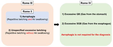 Belching in Gastroesophageal Reflux Disease: Literature Review