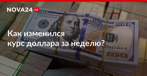 Как изменился курс доллара за неделю? — NOVA24.UZ