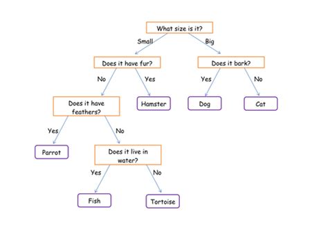 Image result for Identification key Tutorial