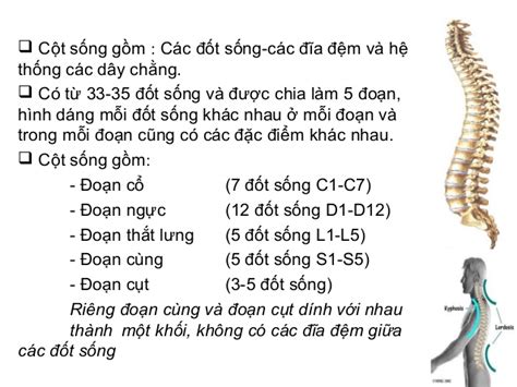 Image result for Visual Basic Zodiac Sign Code