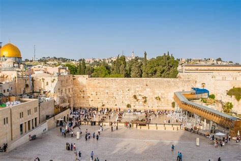 EL-HELAL GROUP - All You Need to Know BEFORE You Go 2026 (with Photos ...