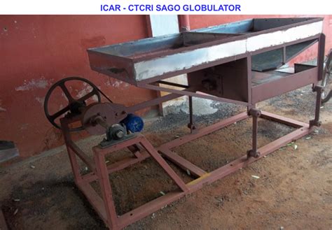 Horticulture :: Vegetables::Tapioca