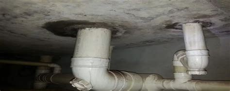 下水管道漏水是否应该由物业维修 - 家核优居