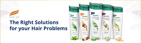 Buy Himalaya Anti-Dandruff Tea Tree Shampoo, Removes up to 100% ...