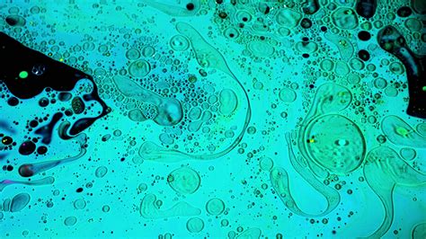 Virus cells or bacterias under microscope lens. Stock footage. Extreme close up of germs or ...