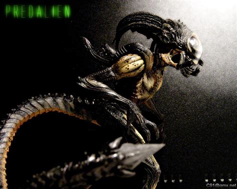 Image result for Predalien