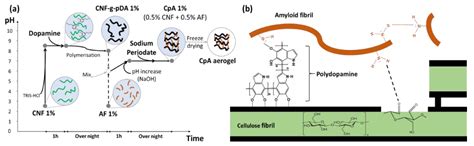 Bio-Based and Robust Polydopamine Coated Nanocellulose/Amyloid ...