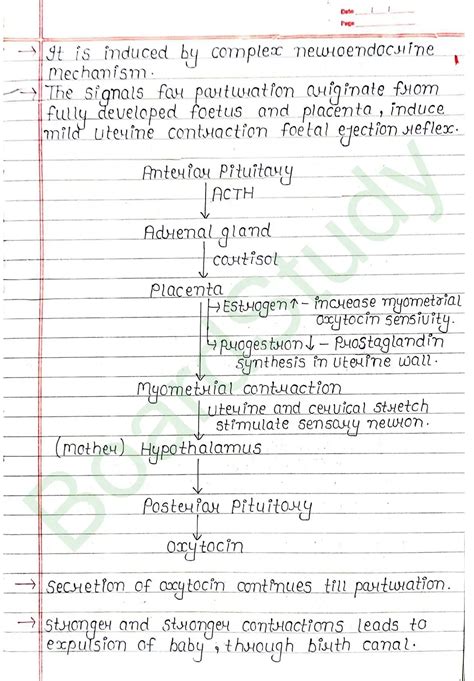 Image result for Human Reproduction Handwritten Notes