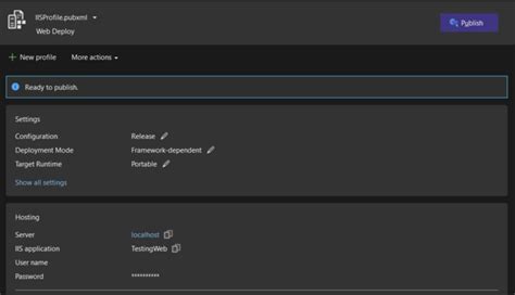Image result for IIS .Net Core 6 Web API with Domain Name