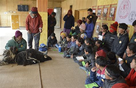 National Museum Institute: About Department of Museology