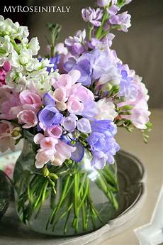 fiori di primavera nomi immagini dei fiori pi 249 belli fiori di primavera nomi immagini dei fiori pi 249 belli