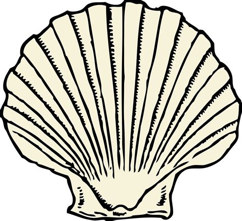 Closed Clam Shell Clip Art