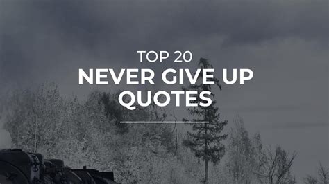 TOP 20 Never Give Up Quotes | Daily Quotes | Inspirational Quotes ...
