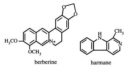 Antibacterial activities of plant-based alkaloids and terpenoids