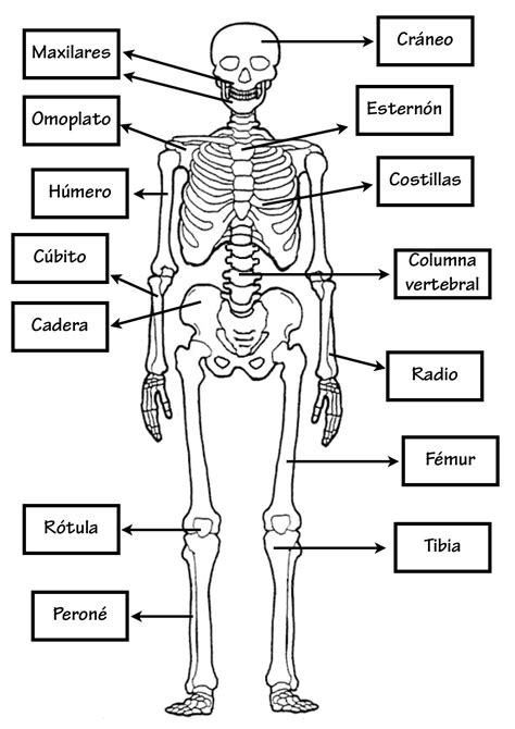 Image result for Statistical Mini Research Example