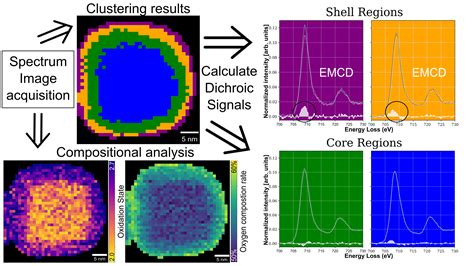 Direct evidence of a graded magnetic interface in bi-magnetic core ...