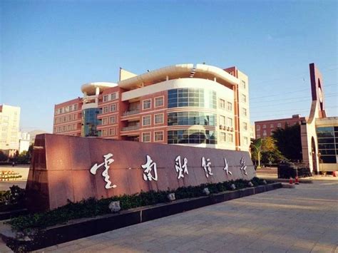 云南省财政厅推出首个高校债券，招标10亿元建设两大学校区__财经头条