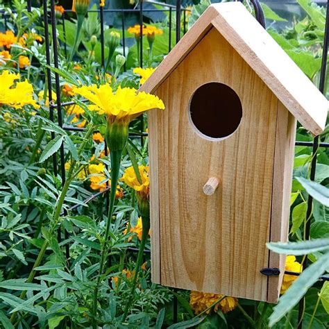 Image result for Bird Nesting Boxes Plans