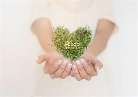 Image result for Sustainable Development