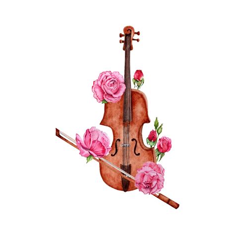 Violin with bow decorated with roses watercolor illustration on white ...