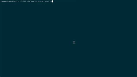 Image result for Puppet Command
