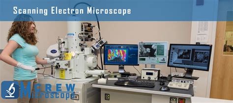 Image result for Scanning Electron Microscope Images
