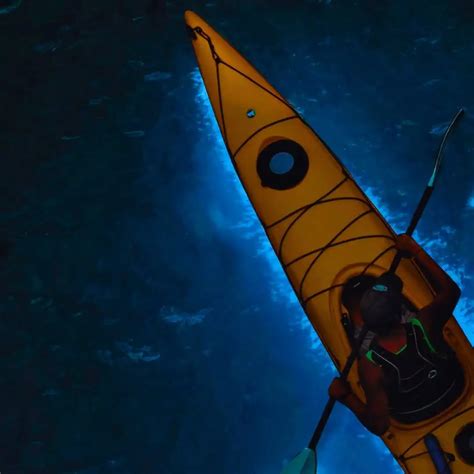 Bioluminescent plankton in Halong Bay: How to see