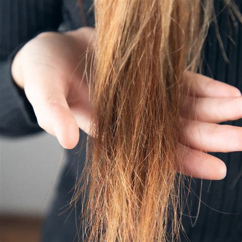 Collections – FAITH AND PATIENCE