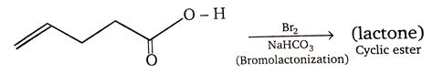 `underset("Cyclic ester")("lactone")`