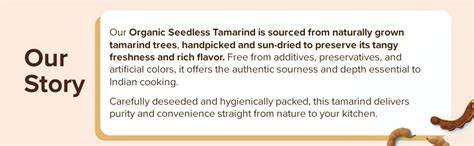 Conscious Food Tamarind | 200g | Seedless Tamarind | Rich source of ...