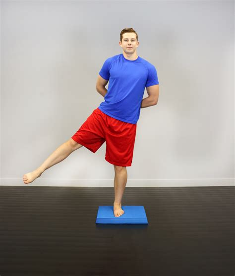 Basic Balance Training 的图像结果