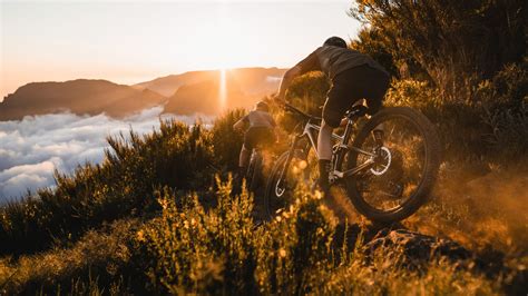 Trek Bike Dealer in Lock Haven Pennsylvania