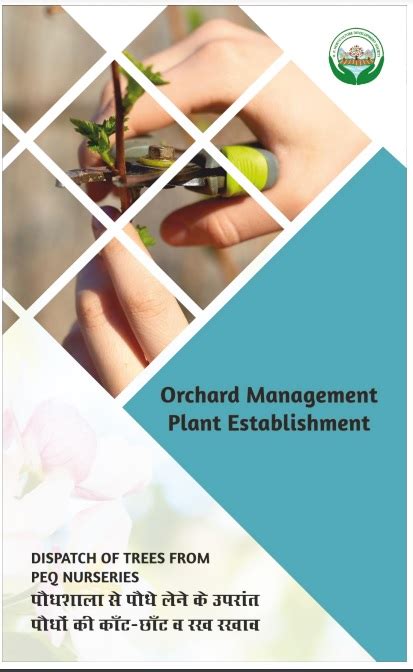 Dispatch of Trees from PEQ Nurseries