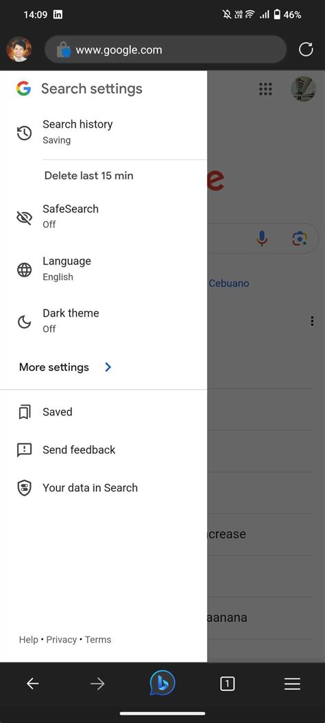 SafeSearch Settings 的图像结果
