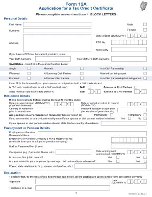 12a Form Online - Fill and Sign Printable Template Online