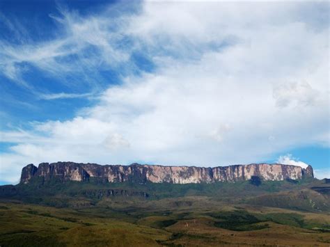 Timeshares & Time Share Exchange Service-DAELive.com