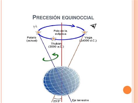 Image result for Examples of the Randomization Distribution