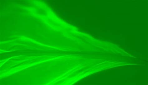 Light Green Screen 的图像结果