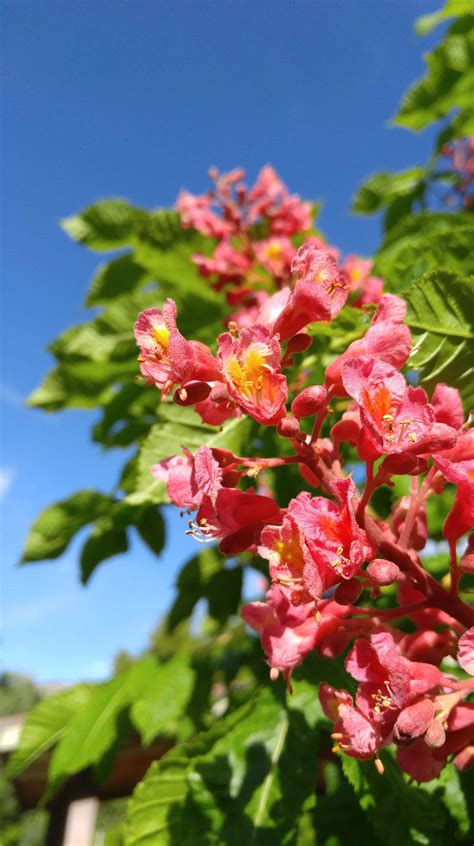 Jolley’s Ranch | JacobBarlow.com