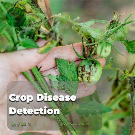 Crop Disease Detection Using Machine Learning 的图像结果