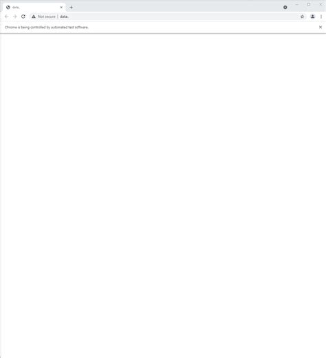 Selenium vs Code 的图像结果