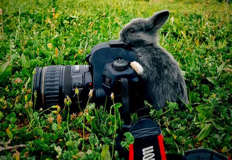 Studio Photography 的图像结果