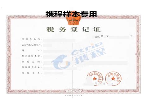 意大利个人旅游签证（上海送签）办理流程_意大利个人旅游签证（上海送签）办理费用 - 携程旅游