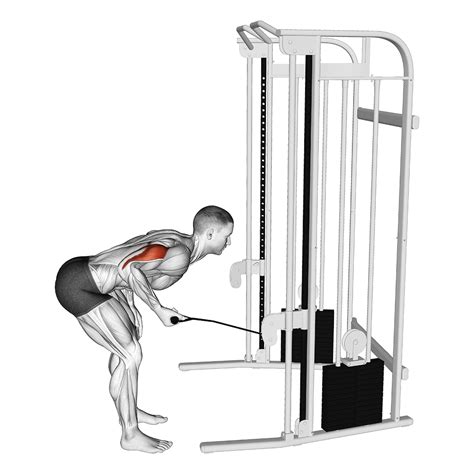 Image result for Tricep Machine Exercises