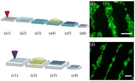 Progress on the Use of Commercial Digital Optical Disc Units for Low ...