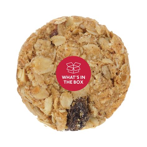Oats Cranberry Cookies - Gabbar Farms